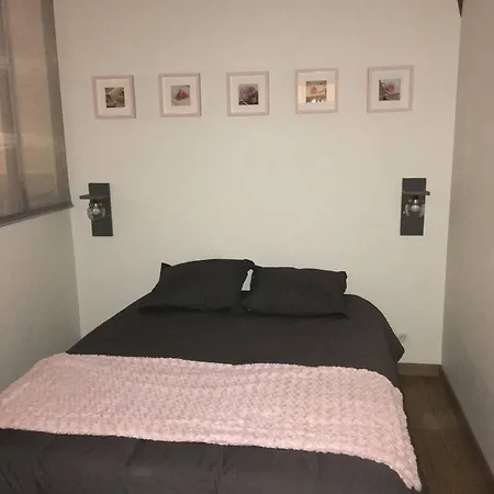 Apartmán D'une Avec Wifi A Dijon